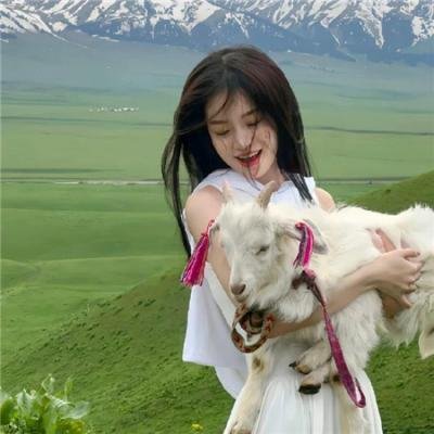 皇家律师 第三季
